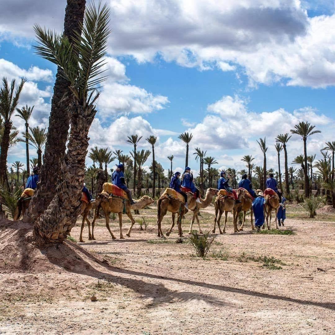 Fabuleux Appartement, Rez De Jardin Au Sein De La Palmeraie Marrakesh Eksteriør bilde